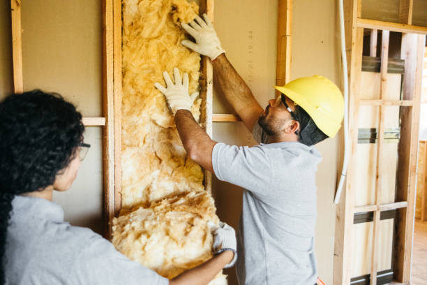 Best Radiant Barrier Insulation  in Taylorvle, IL